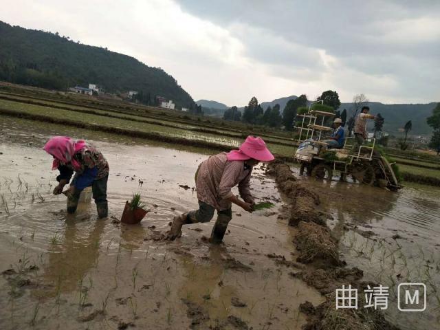 大海子村委会领导团队全新亮相，展望未来发展之路