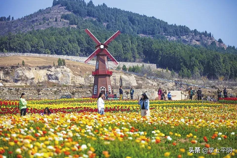 平阴县应急管理局新项目启动，构建安全与应急管理体系新篇章