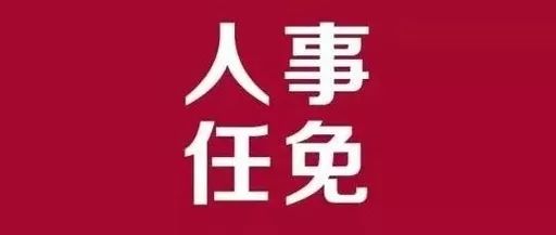 黄山市审计局人事任命推动审计事业迈上新台阶