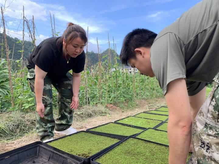 景宁畲族自治县住房和城乡建设局最新发展规划概览