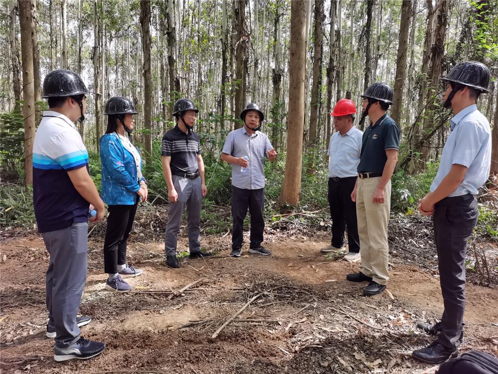 东兴林场最新消息报道