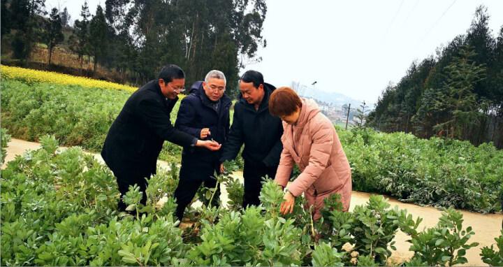 大田社区天气预报更新通知