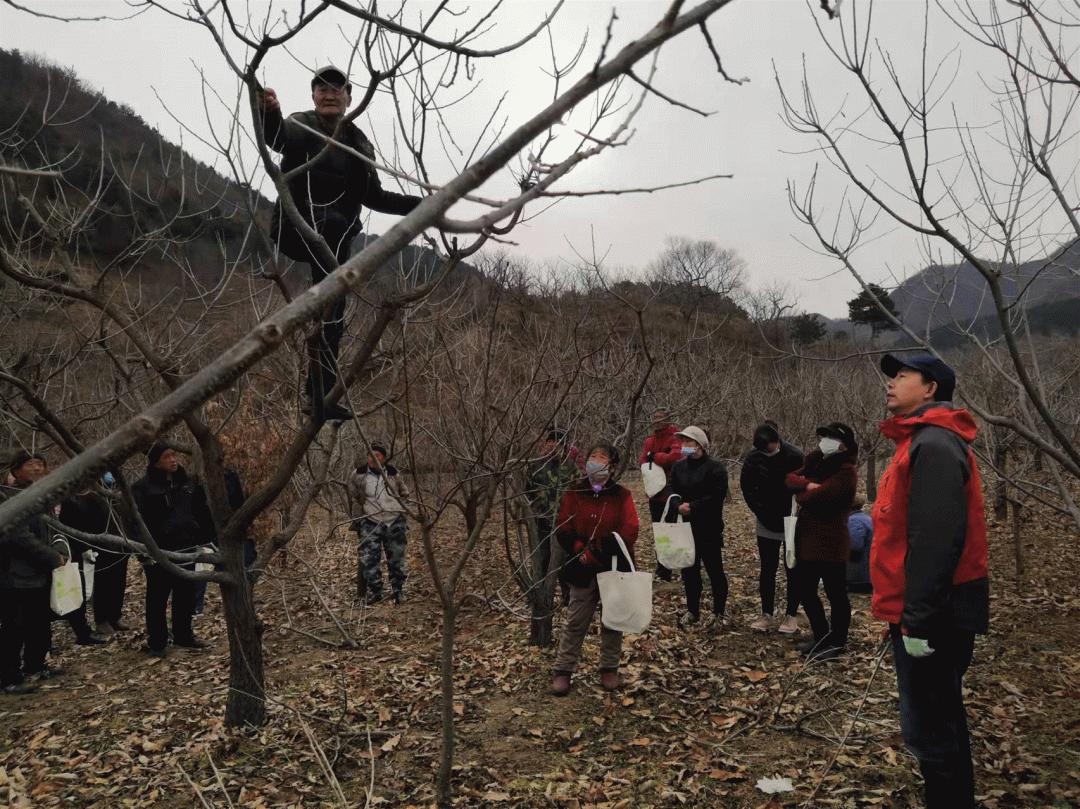 下营乡发展规划揭秘，打造繁荣宜居乡村蓝图