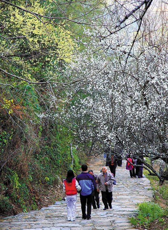 萝岗区住房和城乡建设局最新动态报道