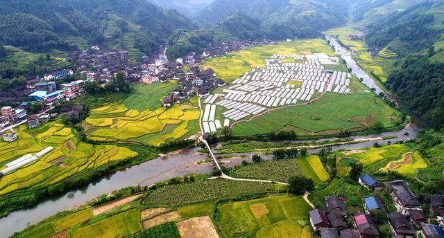 芙蓉村交通升级助力乡村振兴最新消息