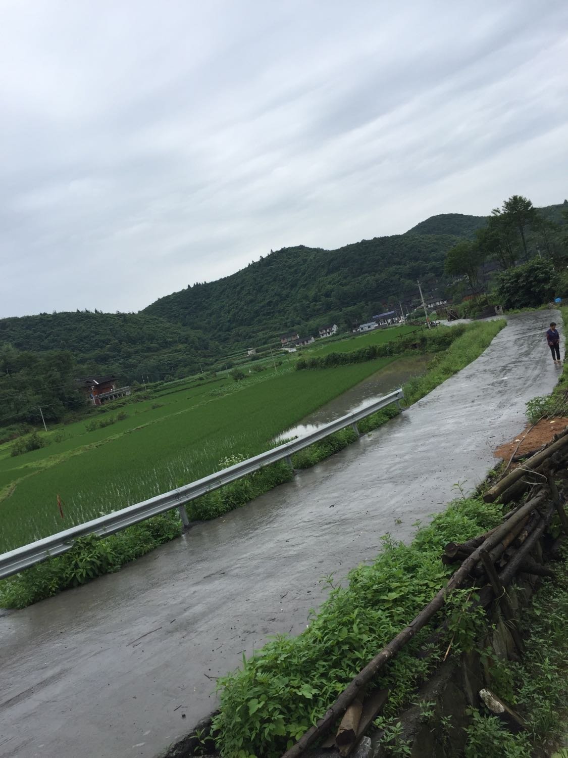 天平村天气预报更新通知