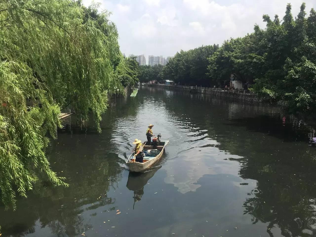 海北藏族自治州市政管理局最新项目概览与动态分析