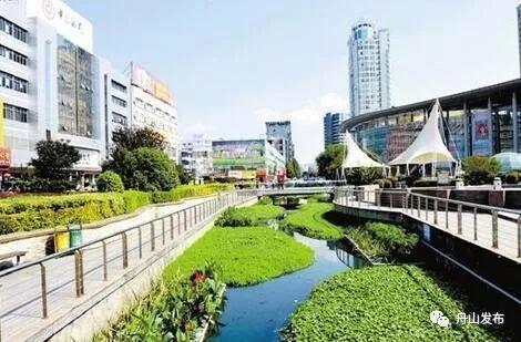 舟山市园林管理局开启城市绿化新篇章