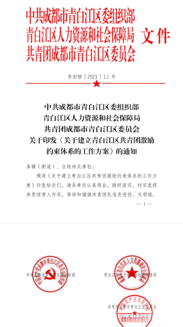 青白江区人民政府办公室人事任命，构建高效政府管理体系的关键行动