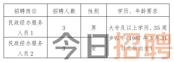 鹿城区民政局最新招聘公告概览