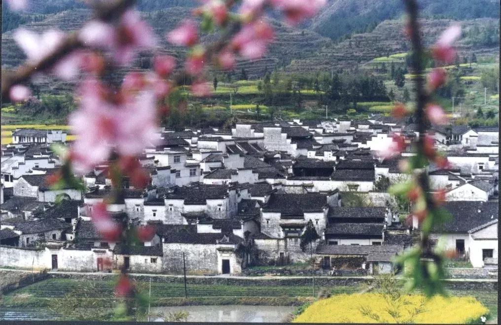 卢村乡天气预报更新通知