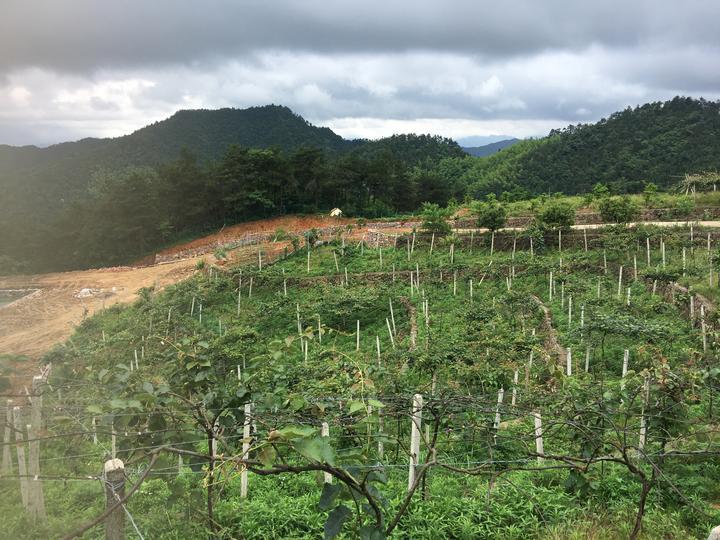 巍山彝族回族自治县科技局发展规划探讨与展望