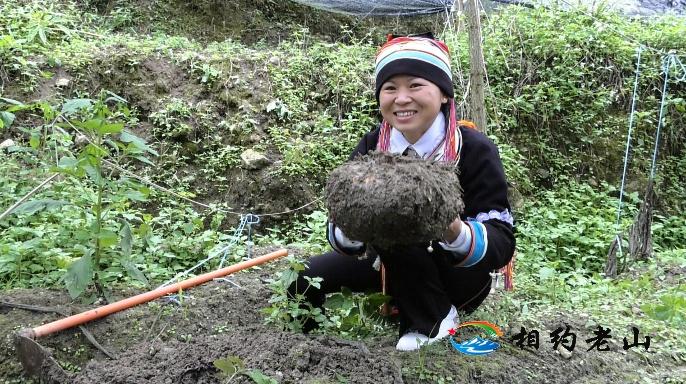 麻栗坡县市场监督管理局发布最新新闻动态