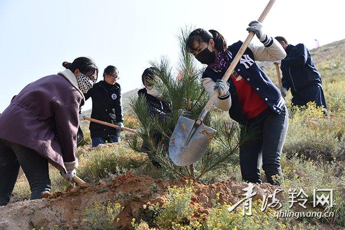 海东地区市国土资源局最新项目动态概览