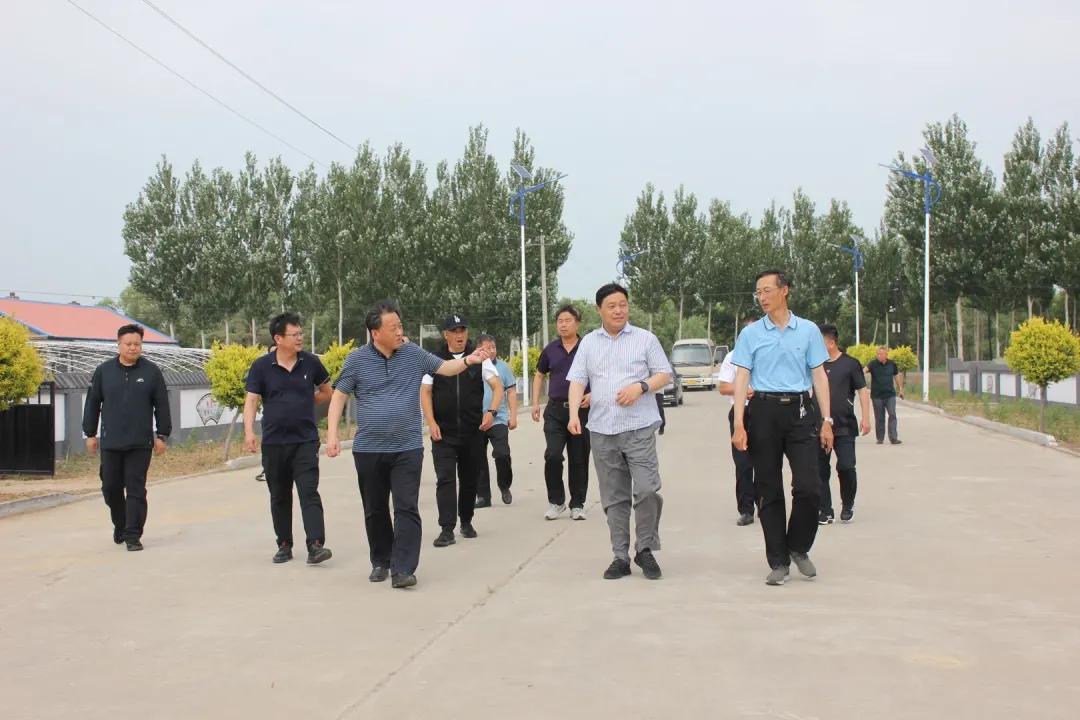 查干花种畜场天气预报，精准预测未来天气变化，助力生活与农业发展