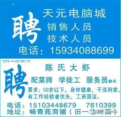 达丁村最新招聘信息全面解析