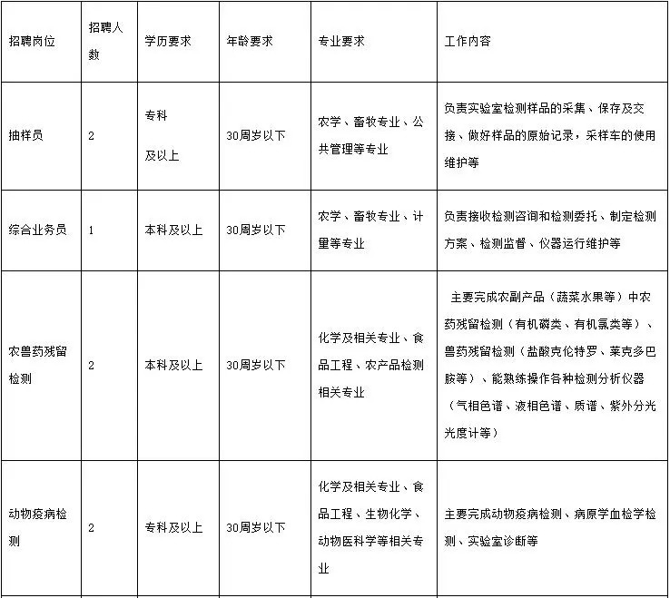 察哈尔右翼中旗财政局招聘公告及内容解析