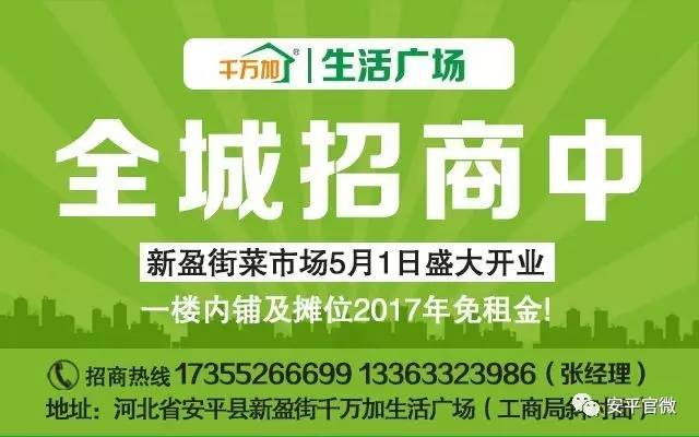 宜州市人力资源和社会保障局最新招聘概览