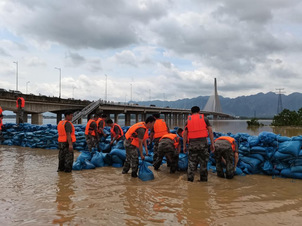 浈江区水利局发展规划概览