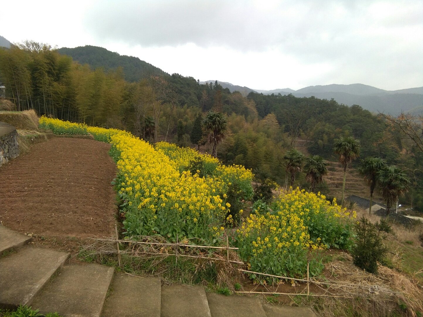 童山社区村天气预报更新通知