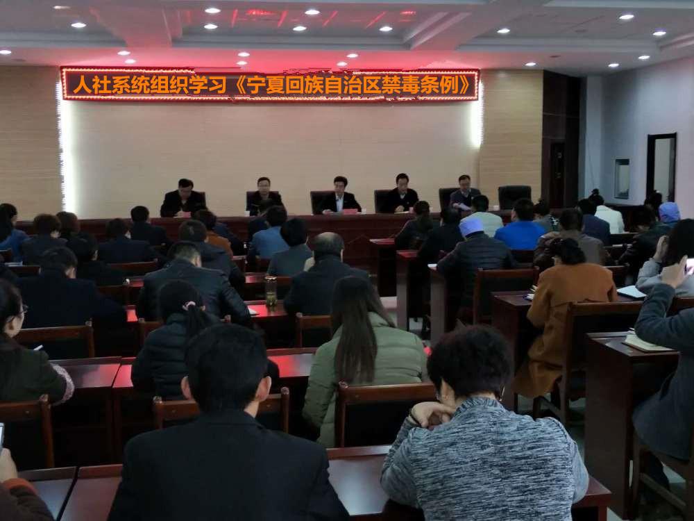 西吉县人力资源和社会保障局人事任命推动县域人力资源事业新篇章