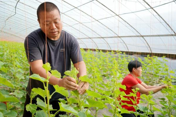 代家村民委员会天气预报更新通知