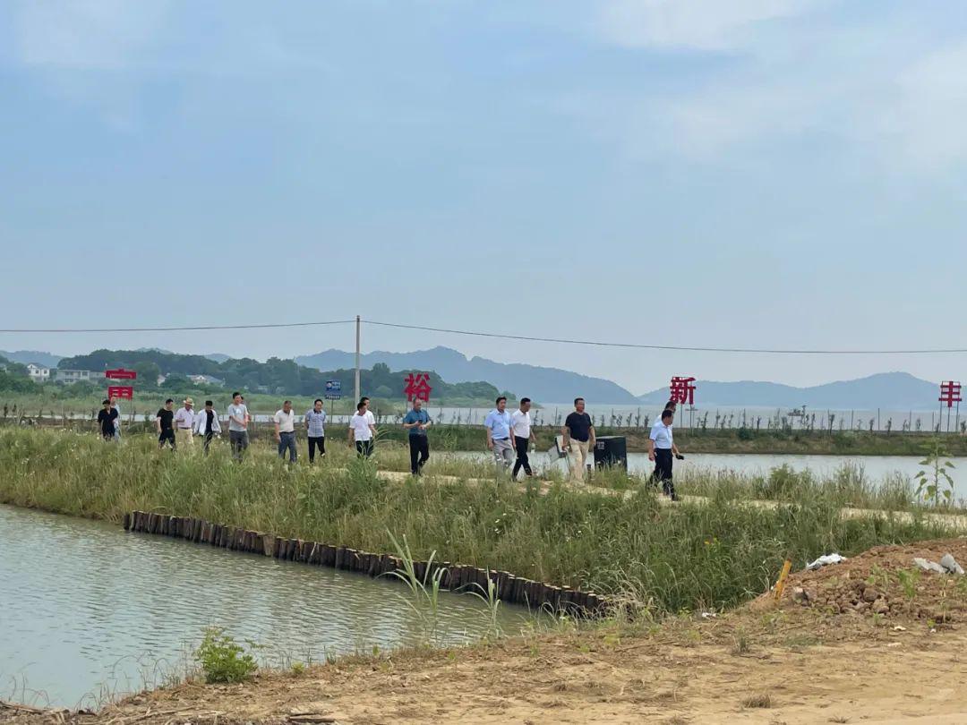 湖口县人民政府办公室领导团队及职能概览