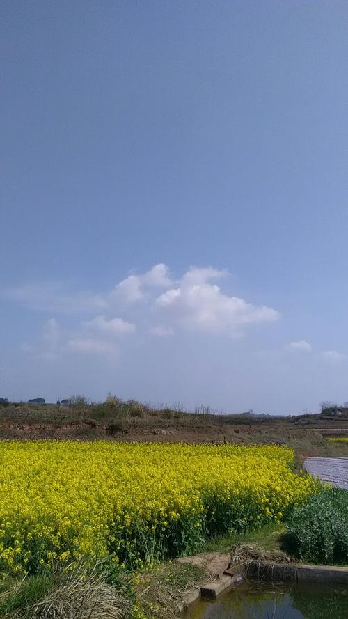 马迹镇天气预报更新通知